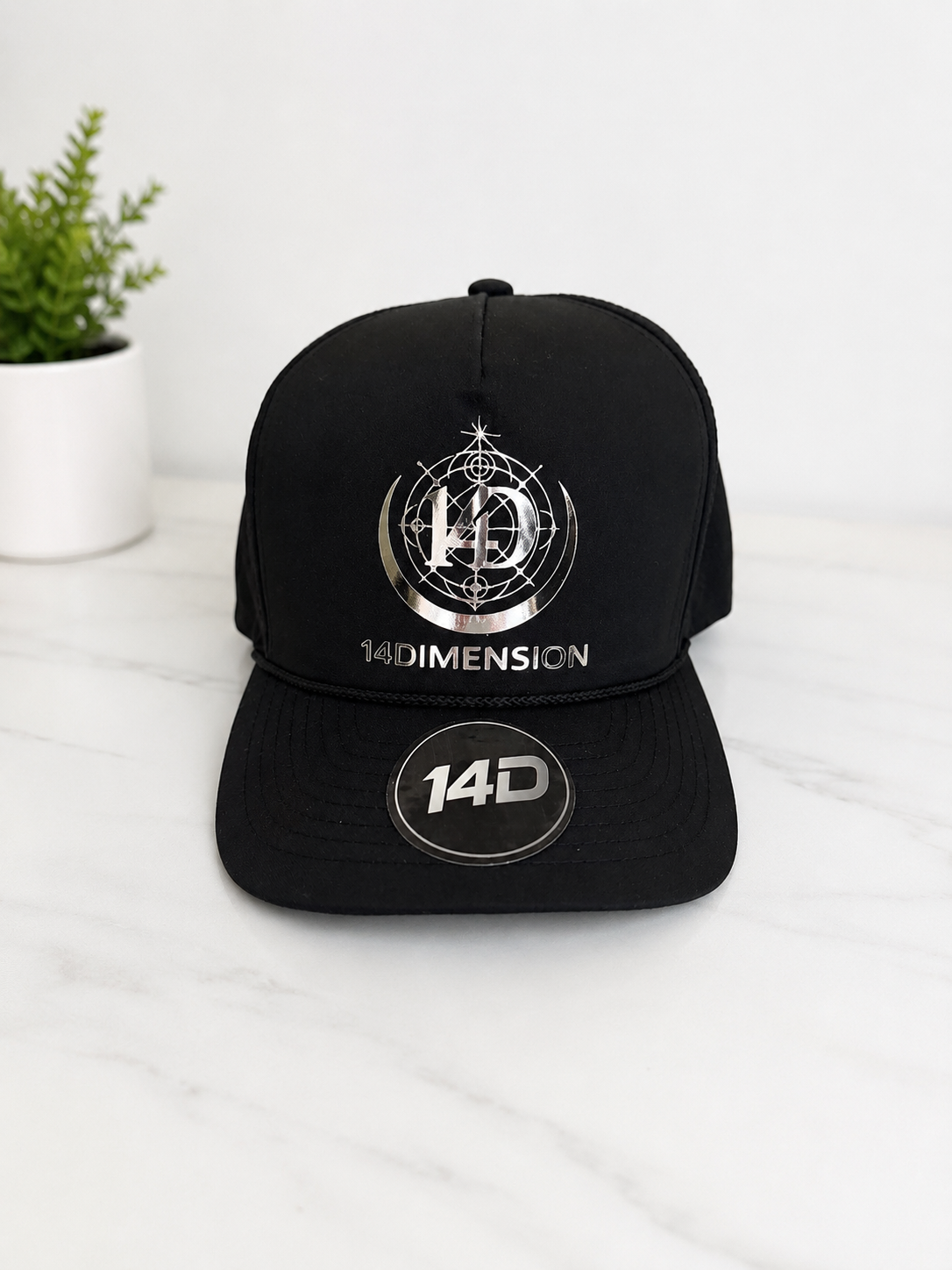 14DIMENSION Silver Metallic Snapback